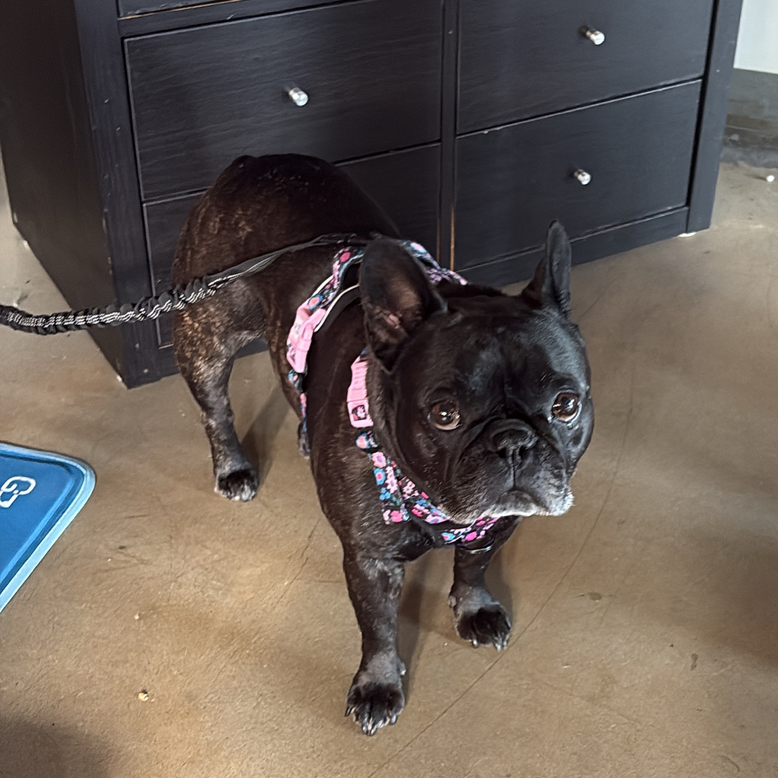 Palmer at a brewery table